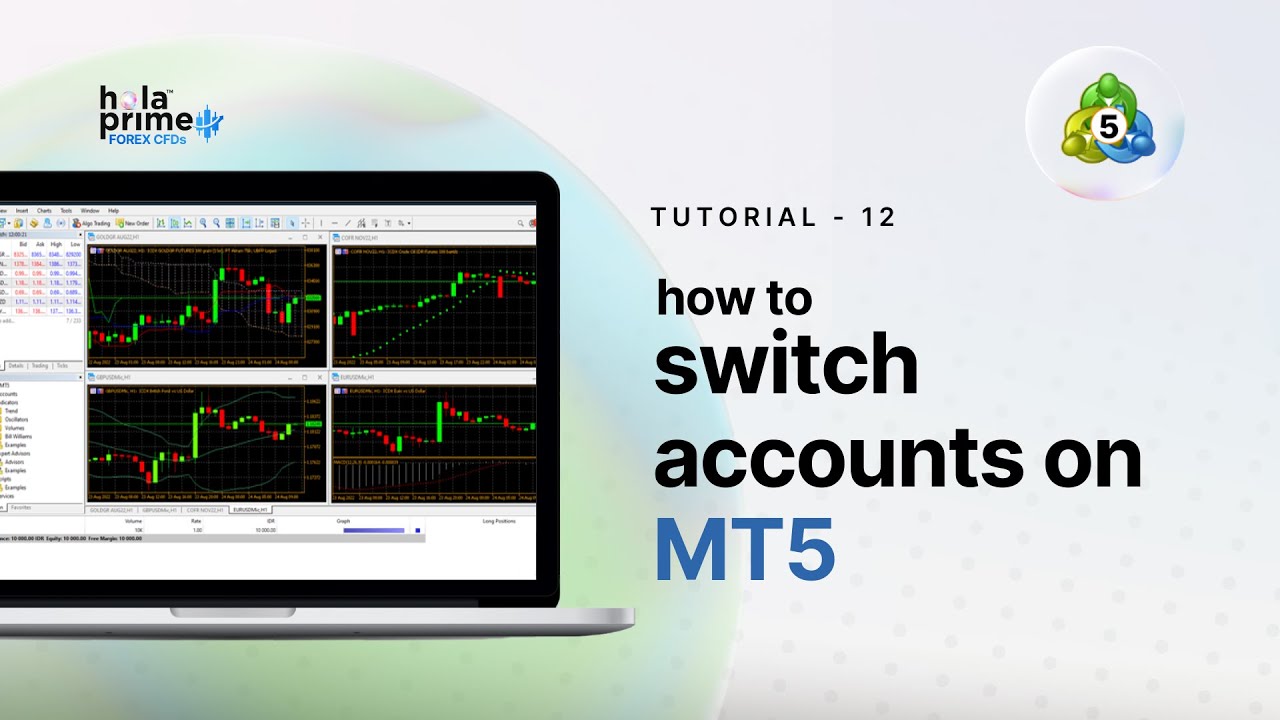 Switching Trading Accounts in MetaTrader 5 with Hola Prime