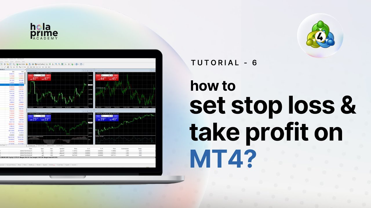 How to Set Stop Loss, Take Profit, and Trailing Stop on MT4 | Hola Prime